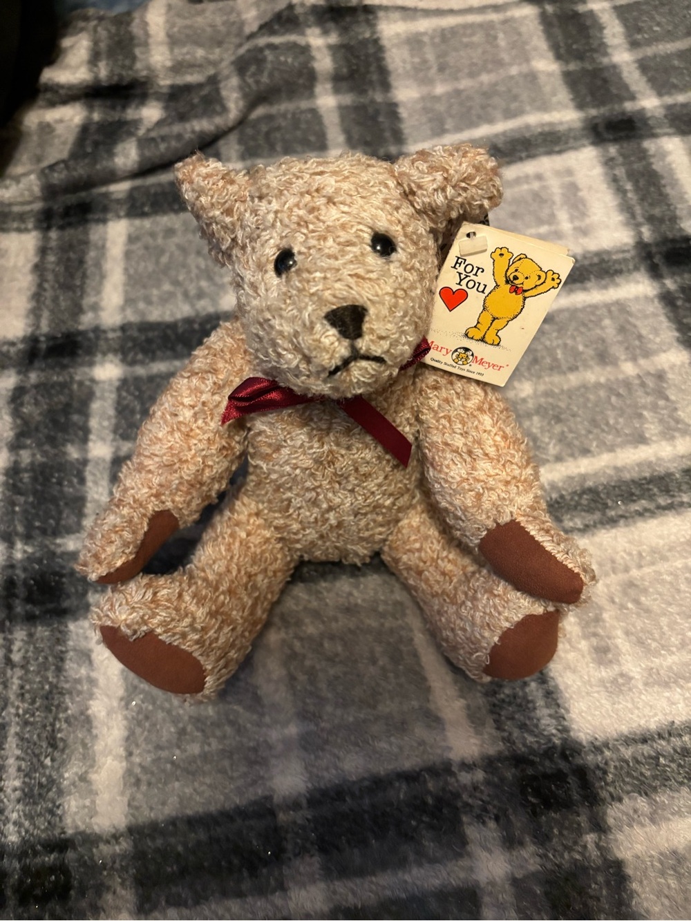 Vintage 1990’s “Raggamuffin” Jointed Mary Meyer Bear (See Description)